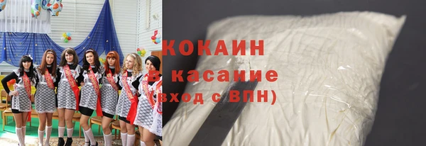 гидра Майский