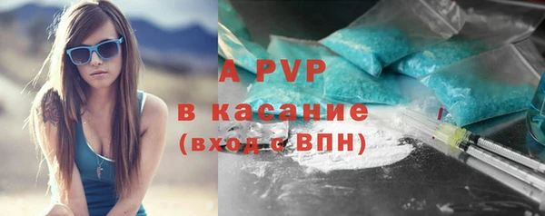 гидра Майский