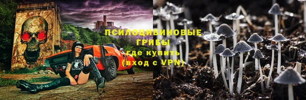 гидра Майский
