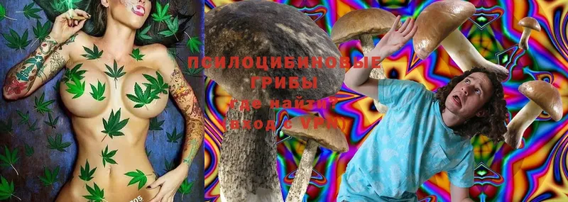 Галлюциногенные грибы Cubensis  Аша 