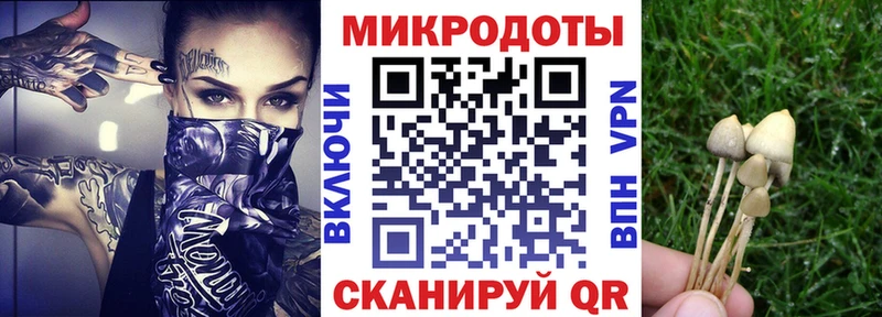 Галлюциногенные грибы мицелий Аша