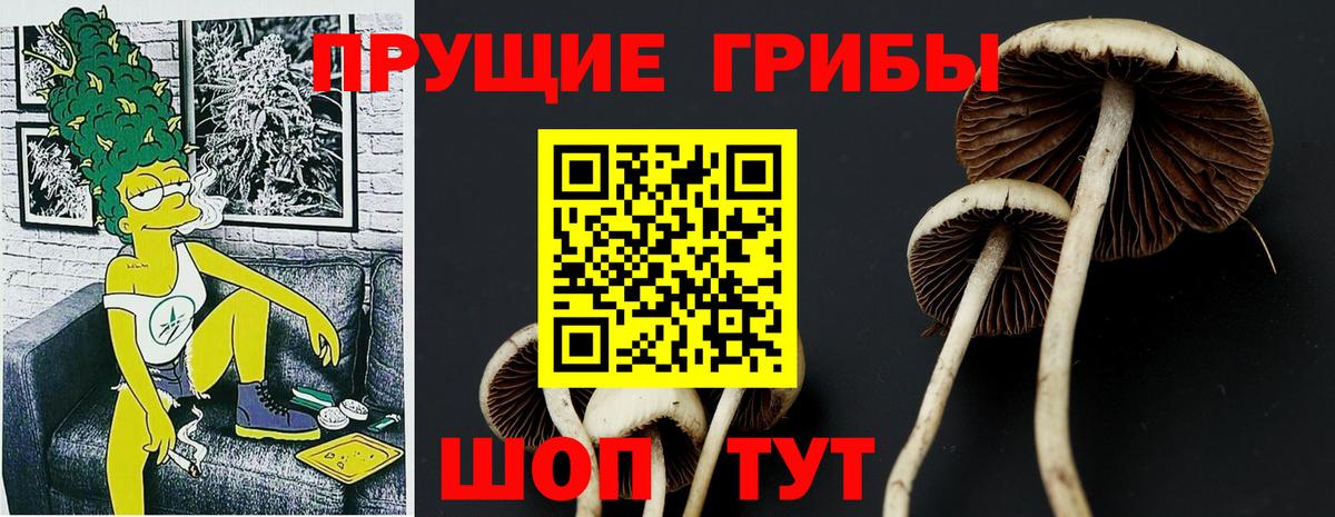 Галлюциногенные грибы Psilocybe Аша