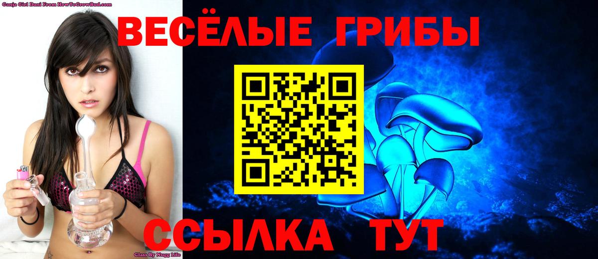 Псилоцибиновые грибы GOLDEN TEACHER  Аша  Псилоцибиновые грибы Magic Shrooms 