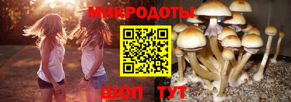 Галлюциногенные грибы GOLDEN TEACHER  Вход с VPN  Аша 